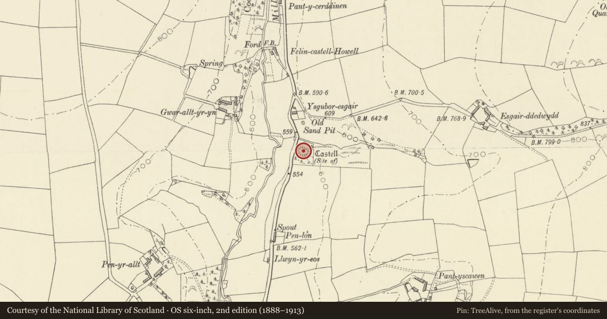 Ordnance Survey six-inch map, 2nd edition (1888–1913) covering the location of Castell Hywel, Llandysul, Ceredigion, with a pin at the register's coordinates
