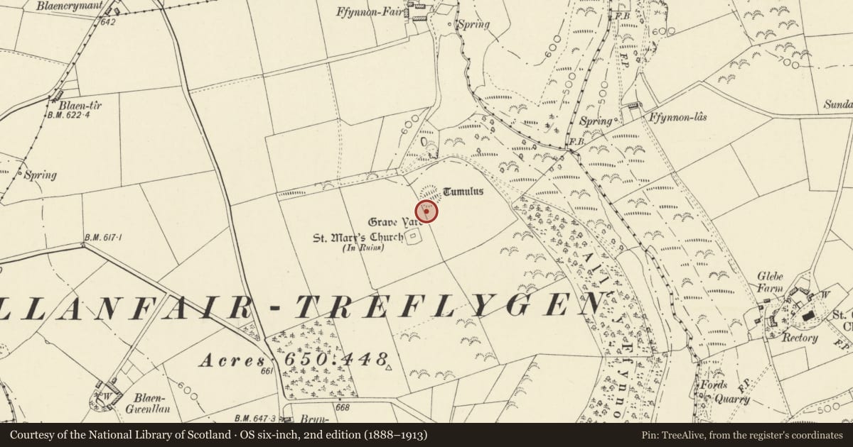 Ordnance Survey six-inch map, 2nd edition (1888–1913) covering the location of St Mary's Church/Llandyfriog Castle Mound, Ceredigion, with a pin at the register's coordinates