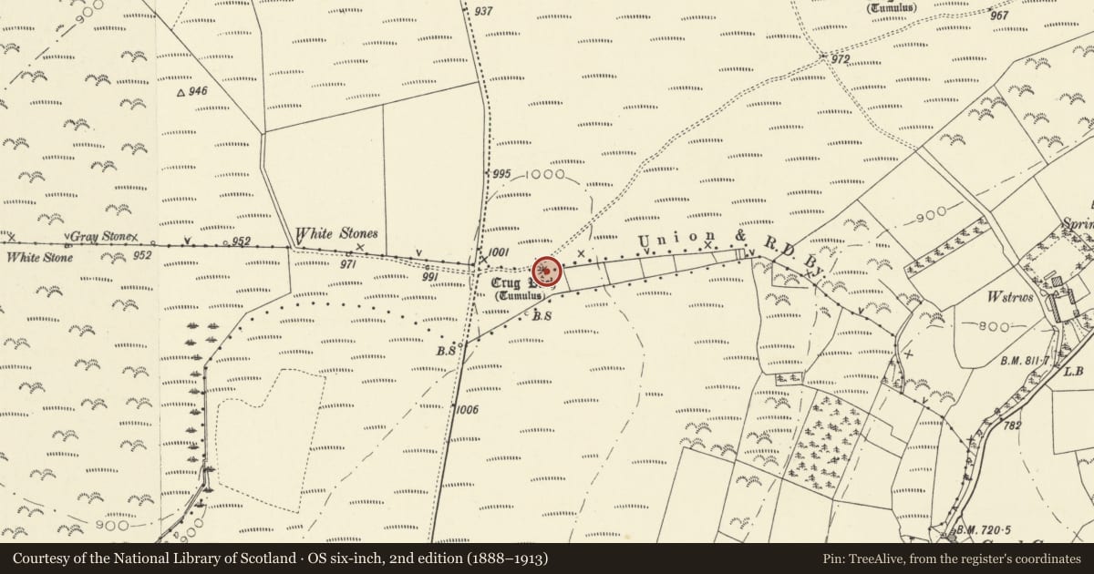 Ordnance Survey six-inch map, 2nd edition (1888–1913) covering the location of Crug Bach, Llandysiliogogo, Ceredigion, with a pin at the register's coordinates