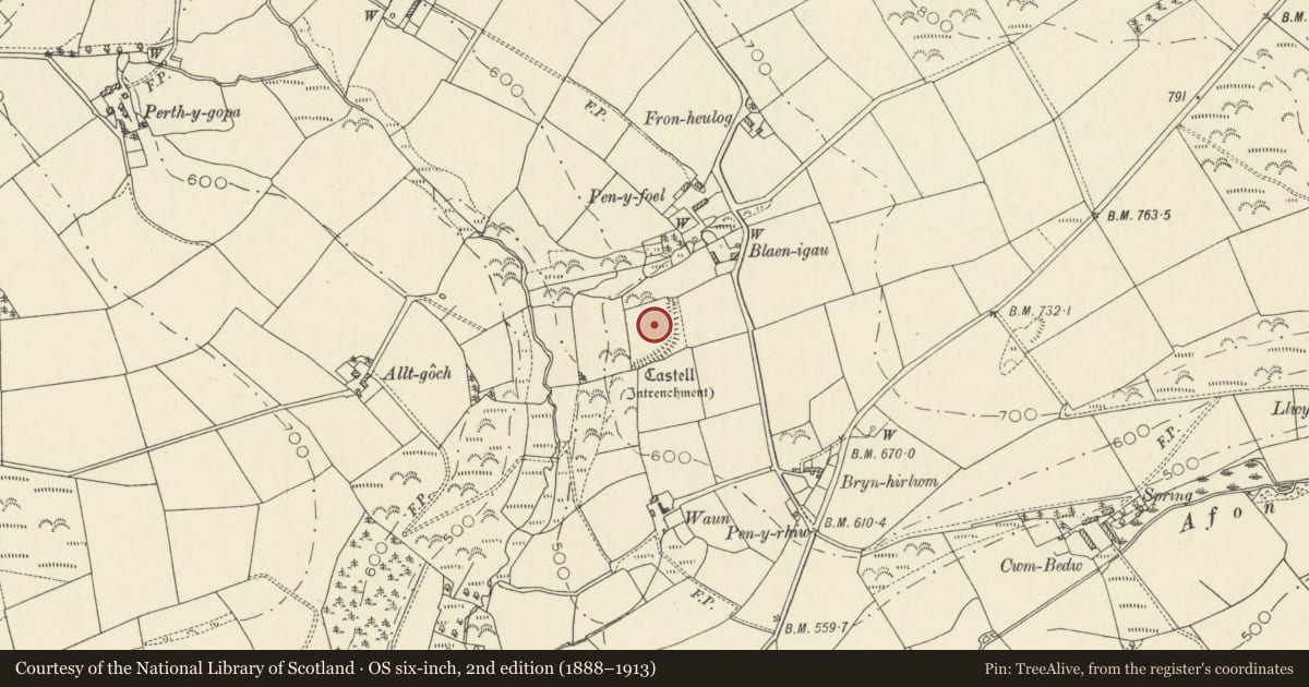 Ordnance Survey six-inch map, 2nd edition (1888–1913) covering the location of Castell S of Pen-y-Foel, Penbryn, Ceredigion, with a pin at the register's coordinates