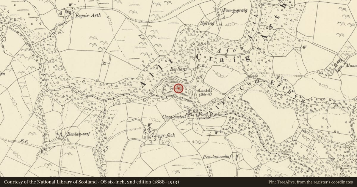 Ordnance Survey six-inch map, 2nd edition (1888–1913) covering the location of Castell Allt Craig-Arth, Dyffryn Arth, Ceredigion, with a pin at the register's coordinates
