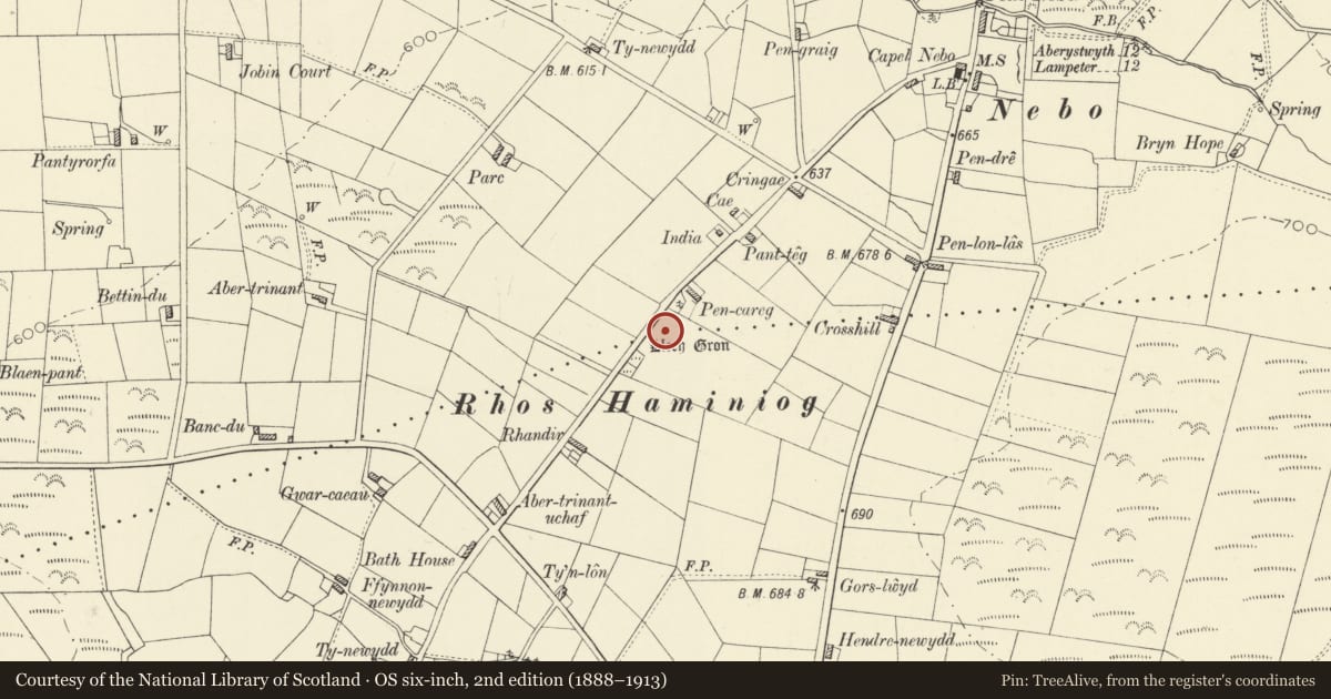 Ordnance Survey six-inch map, 2nd edition (1888–1913) covering the location of Llech Gron, Dyffryn Arth, Ceredigion, with a pin at the register's coordinates