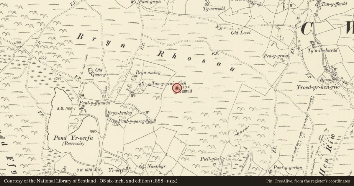 Ordnance Survey six-inch map, 2nd edition (1888–1913) covering the location of Bryn Rhosau Round Barrows, Blaenrheidol, Ceredigion, with a pin at the register's coordinates