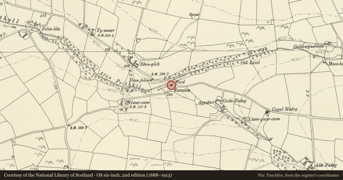 Ordnance Survey six-inch map, 2nd edition (1888–1913) covering the location of Castell Gwar-Cwm, Trefeurig, Ceredigion, with a pin at the register's coordinates
