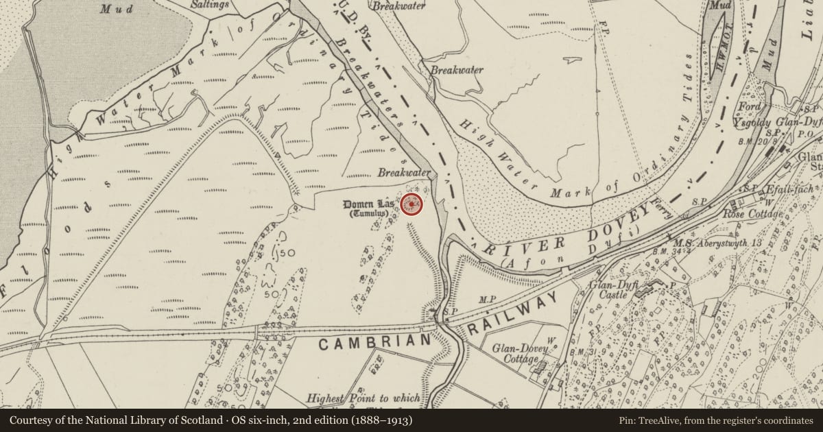 Ordnance Survey six-inch map, 2nd edition (1888–1913) covering the location of Domen Las, Ysgubor-y-Coed, Ceredigion, with a pin at the register's coordinates
