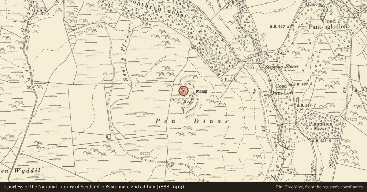 Ordnance Survey six-inch map, 2nd edition (1888–1913) covering the location of Pen Dinas Camp, Ceulanamaesmawr, Ceredigion, with a pin at the register's coordinates