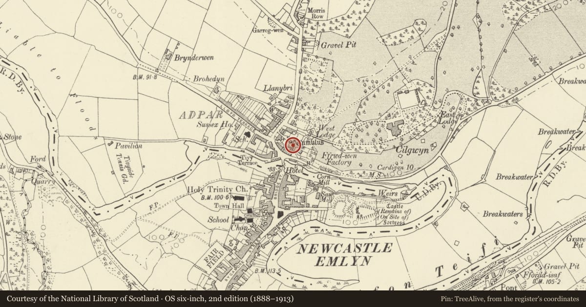 Ordnance Survey six-inch map, 2nd edition (1888–1913) covering the location of Adpar Castle Mound, Llandyfriog, Ceredigion, with a pin at the register's coordinates
