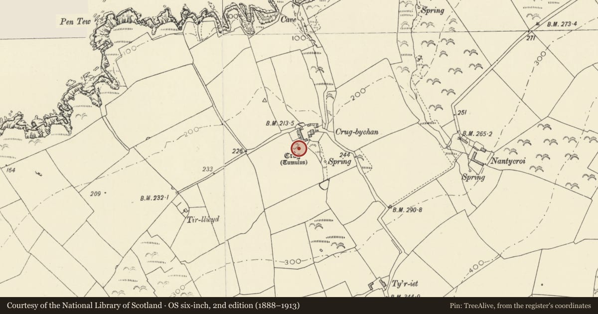 Ordnance Survey six-inch map, 2nd edition (1888–1913) covering the location of Crug-Bychan Round Barrow, Y Ferwig, Ceredigion, with a pin at the register's coordinates