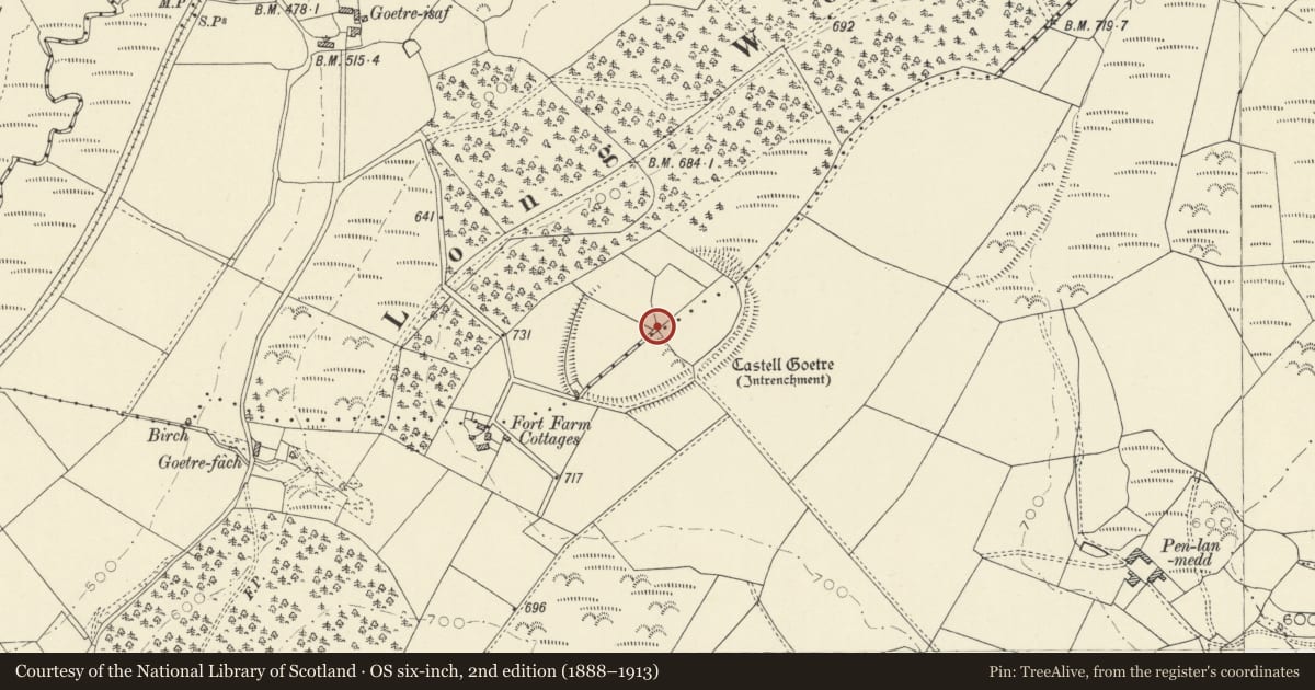 Ordnance Survey six-inch map, 2nd edition (1888–1913) covering the location of Castell Goetre, Llangybi, Ceredigion, with a pin at the register's coordinates