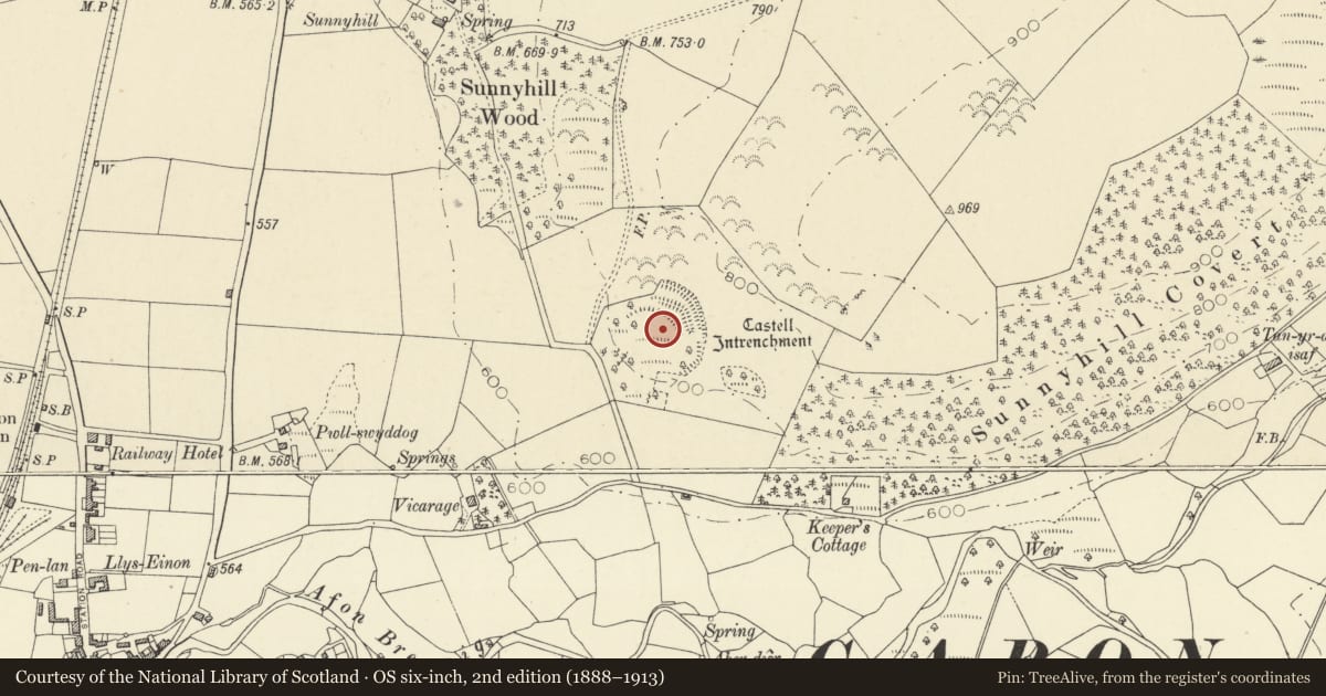Ordnance Survey six-inch map, 2nd edition (1888–1913) covering the location of Sunnyhill Wood Camp, Tregaron, Ceredigion, with a pin at the register's coordinates