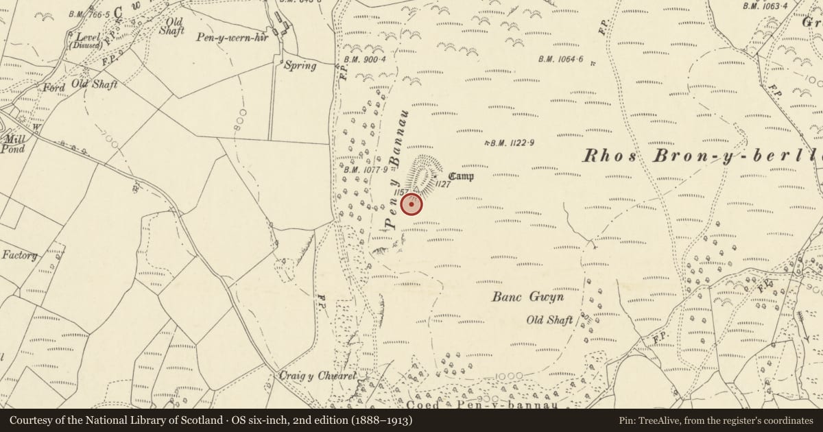 Ordnance Survey six-inch map, 2nd edition (1888–1913) covering the location of Pen y Bannau Camp, Ystrad Fflur, Ceredigion, with a pin at the register's coordinates