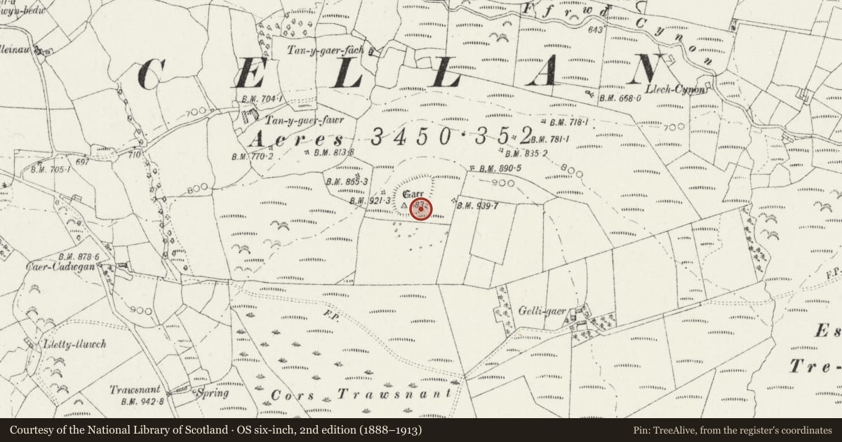 Ordnance Survey six-inch map, 2nd edition (1888–1913) covering the location of Caer Cadwgan, Llanfair Clydogau, Ceredigion, with a pin at the register's coordinates
