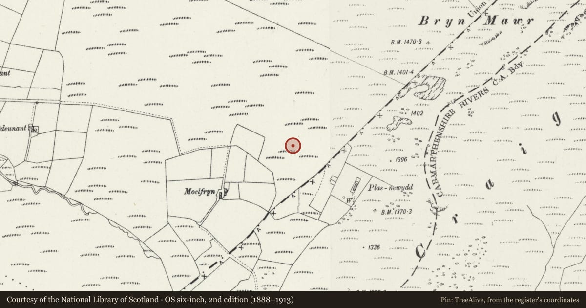 Ordnance Survey six-inch map, 2nd edition (1888–1913) covering the location of Moelfryn Round Cairn, Llanfair Clydogau, Ceredigion, with a pin at the register's coordinates