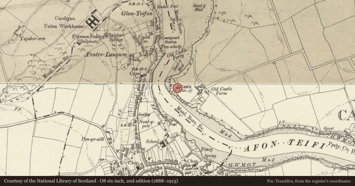 Ordnance Survey six-inch map, 2nd edition (1888–1913) covering the location of Old Castle Mound, Cardigan, Ceredigion, with a pin at the register's coordinates