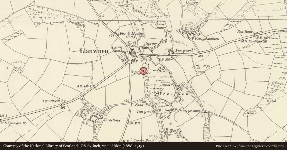 Ordnance Survey six-inch map, 2nd edition (1888–1913) covering the location of Llanwnnen Ring Motte, Ceredigion, with a pin at the register's coordinates