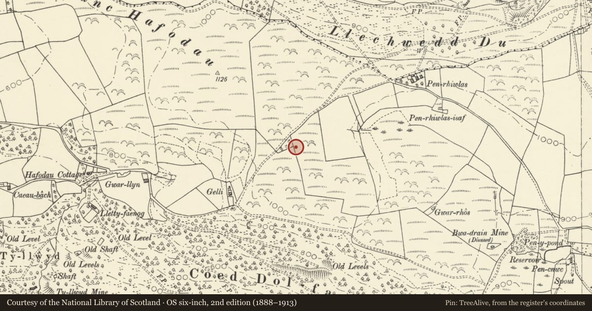 Ordnance Survey six-inch map, 2nd edition (1888–1913) covering the location of Round Barrow SW of Pen-Rhiwlas, Melindwr, Ceredigion, with a pin at the register's coordinates