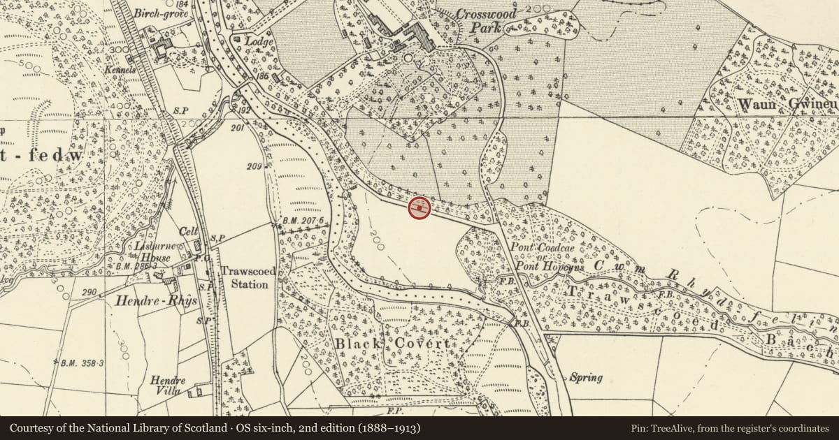 Ordnance Survey six-inch map, 2nd edition (1888–1913) covering the location of Trawsgoed Roman Fort, Ceredigion, with a pin at the register's coordinates