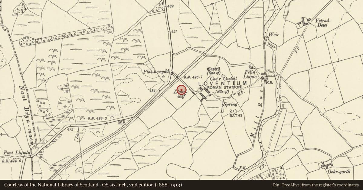 Ordnance Survey six-inch map, 2nd edition (1888–1913) covering the location of Roman Roads and Vicus W of Llanio Roman Fort, Llanddewi Brefi, Ceredigion, with a pin at the register's coordinates