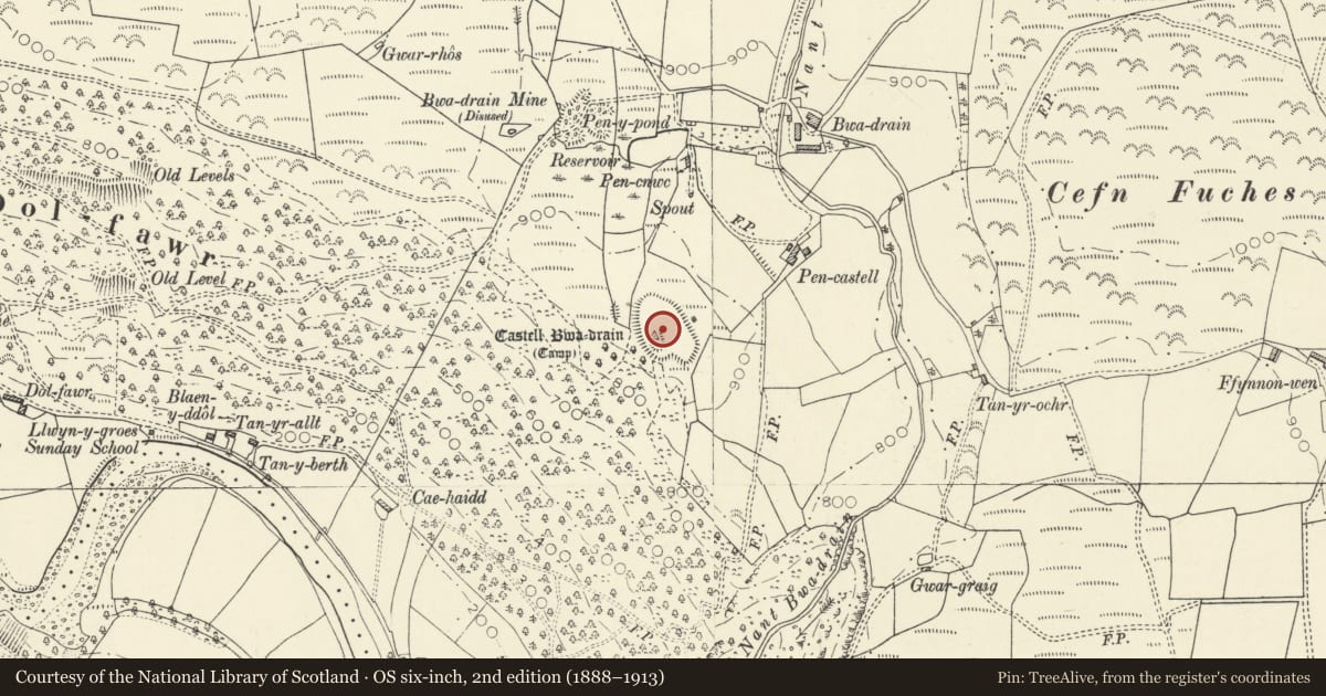 Ordnance Survey six-inch map, 2nd edition (1888–1913) covering the location of Castell Bwa-drain Camp, Melindwr, Ceredigion, with a pin at the register's coordinates