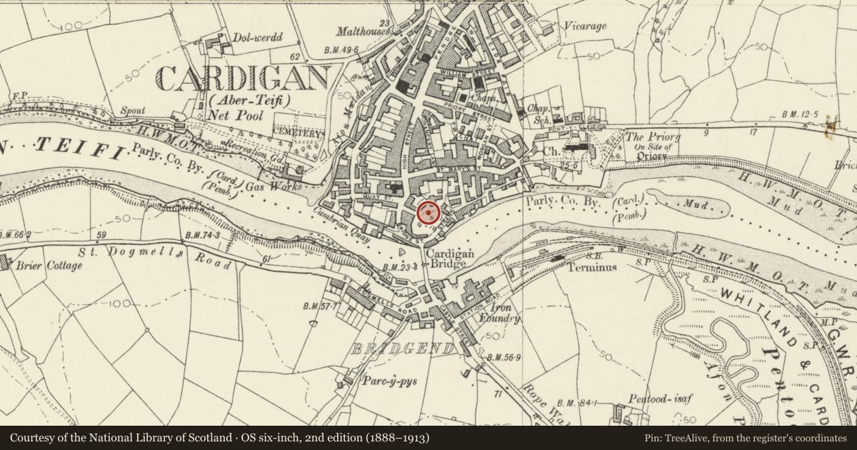 Ordnance Survey six-inch map, 2nd edition (1888–1913) covering the location of Cardigan Castle, Ceredigion, with a pin at the register's coordinates
