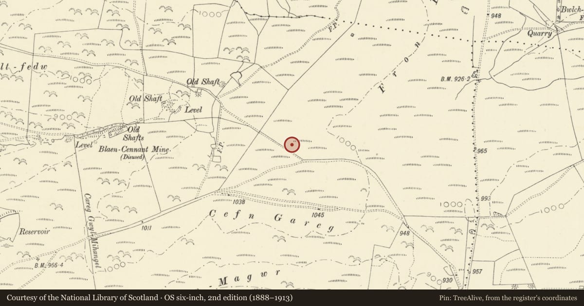 Ordnance Survey six-inch map, 2nd edition (1888–1913) covering the location of Fron Ddu Round Barrow, Pontarfynach, Ceredigion, with a pin at the register's coordinates