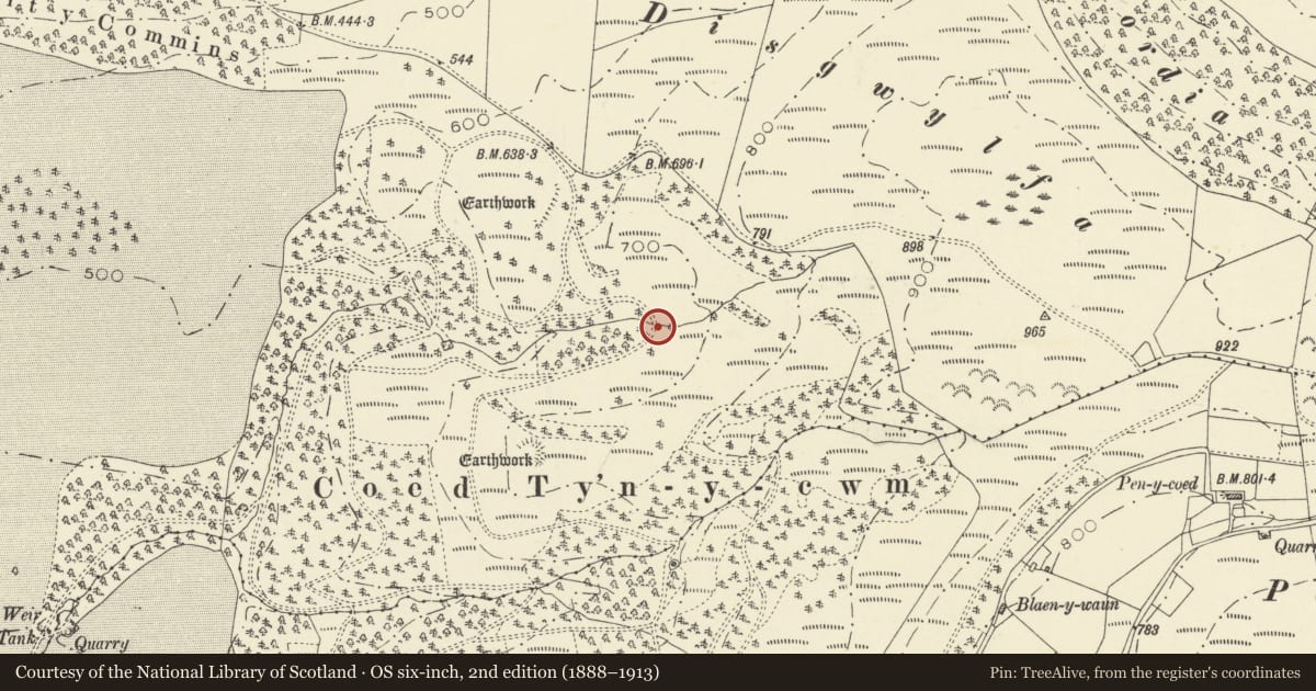 Ordnance Survey six-inch map, 2nd edition (1888–1913) covering the location of Coed Ty'n-y-Cwm Camps, Trawsgoed, Ceredigion, with a pin at the register's coordinates