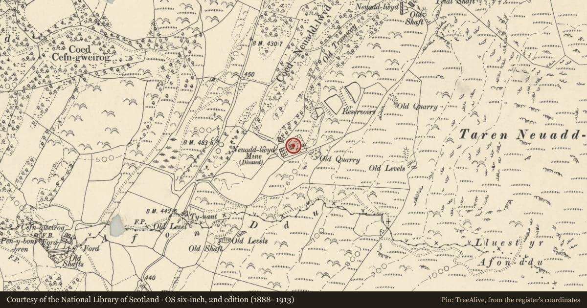 Ordnance Survey six-inch map, 2nd edition (1888–1913) covering the location of Bryndyfi Lead Mine, Ysgubor-y-Coed, Ceredigion, with a pin at the register's coordinates