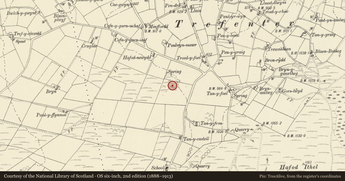 Ordnance Survey six-inch map, 2nd edition (1888–1913) covering the location of Moated Site at Trefenter, Llangwyryfon, Ceredigion, with a pin at the register's coordinates
