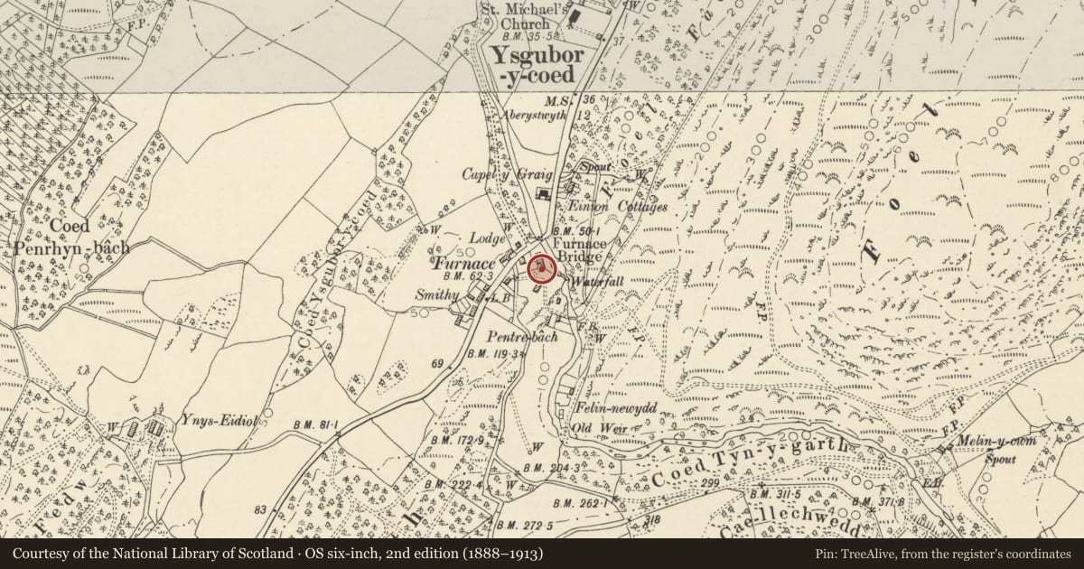 Ordnance Survey six-inch map, 2nd edition (1888–1913) covering the location of Dyfi Blast Furnace and Charcoal Store, Ysgubor-y-Coed, Ceredigion, with a pin at the register's coordinates