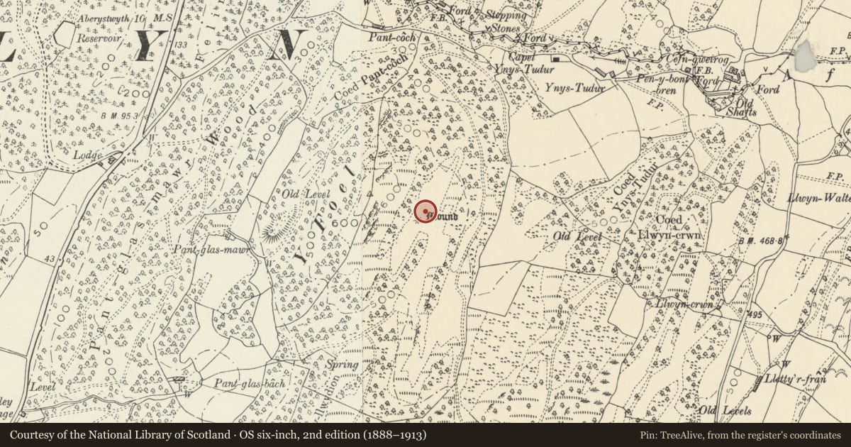 Ordnance Survey six-inch map, 2nd edition (1888–1913) covering the location of Ynys Tudor Burial Mound, Llangynfelyn, Ceredigion, with a pin at the register's coordinates