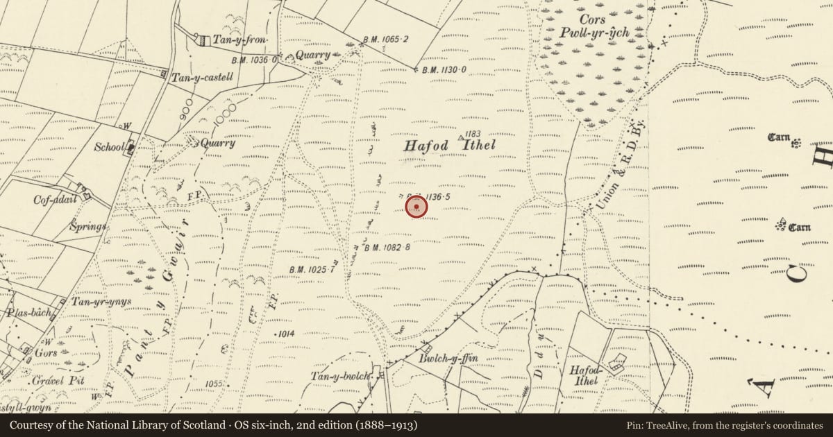 Ordnance Survey six-inch map, 2nd edition (1888–1913) covering the location of Hafod Ithel Cairn Cemetery, Llangwyryfon, Ceredigion, with a pin at the register's coordinates