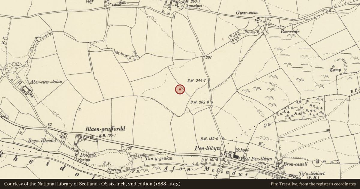 Ordnance Survey six-inch map, 2nd edition (1888–1913) covering the location of Roman Fort 300m NW of Pen-Llwyn, Melindwr, Ceredigion, with a pin at the register's coordinates