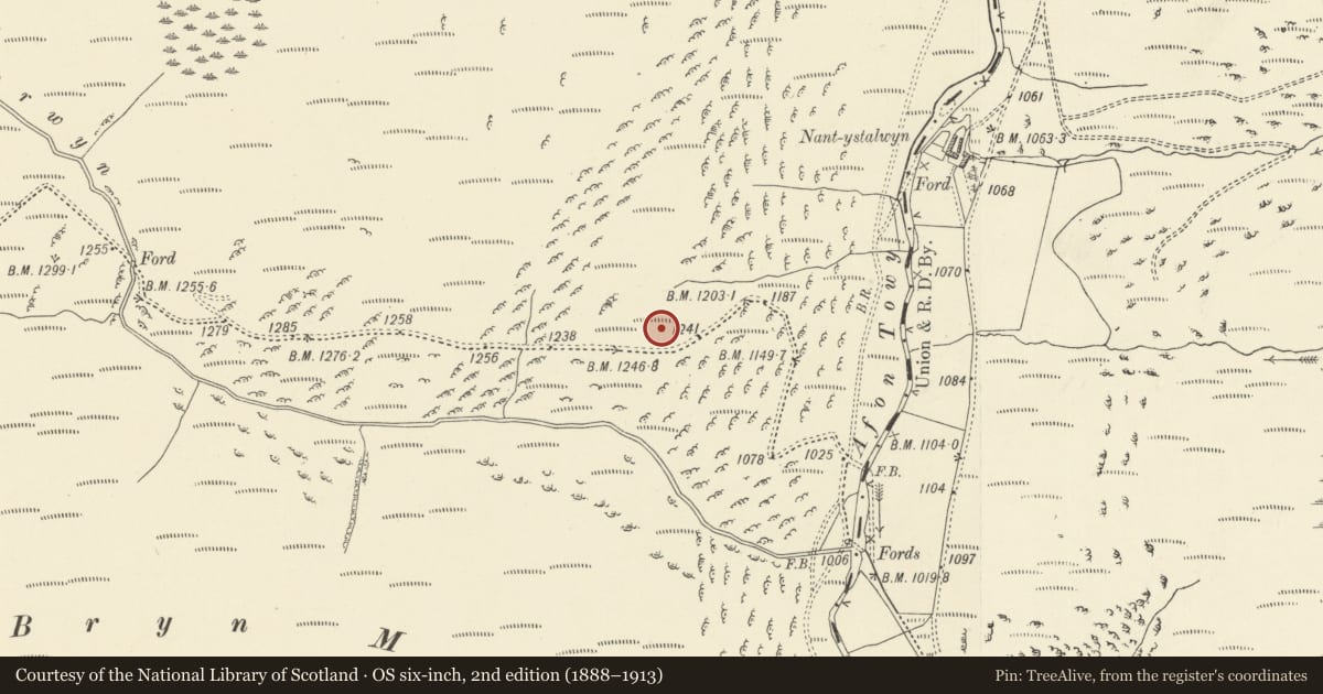 Ordnance Survey six-inch map, 2nd edition (1888–1913) covering the location of Cairn Cemetery on Esgair Gerwyn, Tregaron, Ceredigion, with a pin at the register's coordinates