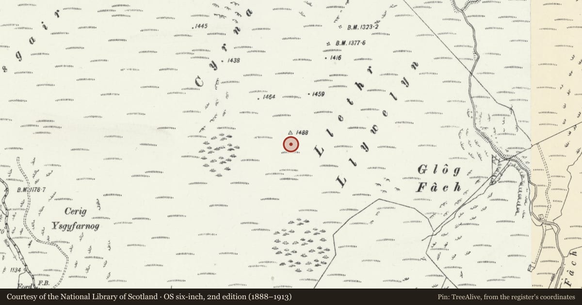 Ordnance Survey six-inch map, 2nd edition (1888–1913) covering the location of Stone Circle and Associated Structures on Bryn y Gorlan, Llanddewi Brefi, Ceredigion, with a pin at the register's coordinates