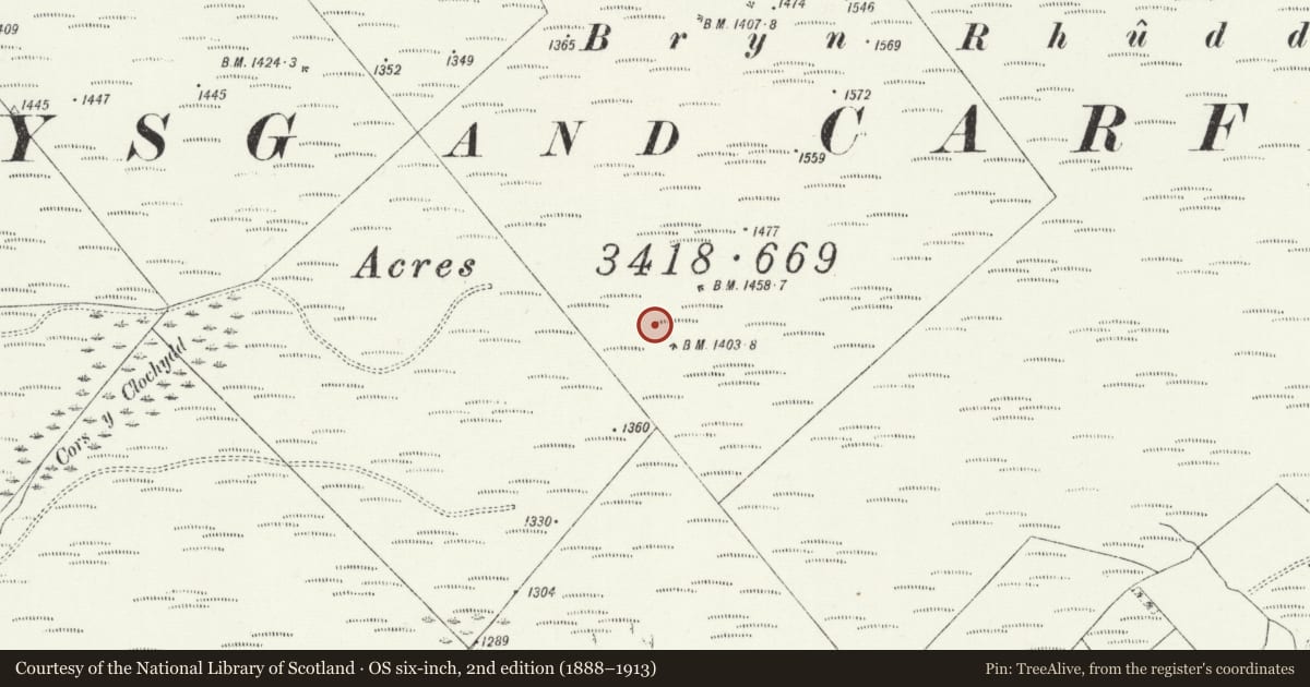 Ordnance Survey six-inch map, 2nd edition (1888–1913) covering the location of Cairns and Ring Works S of Bryn Rhudd, Llanddewi Brefi, Ceredigion, with a pin at the register's coordinates