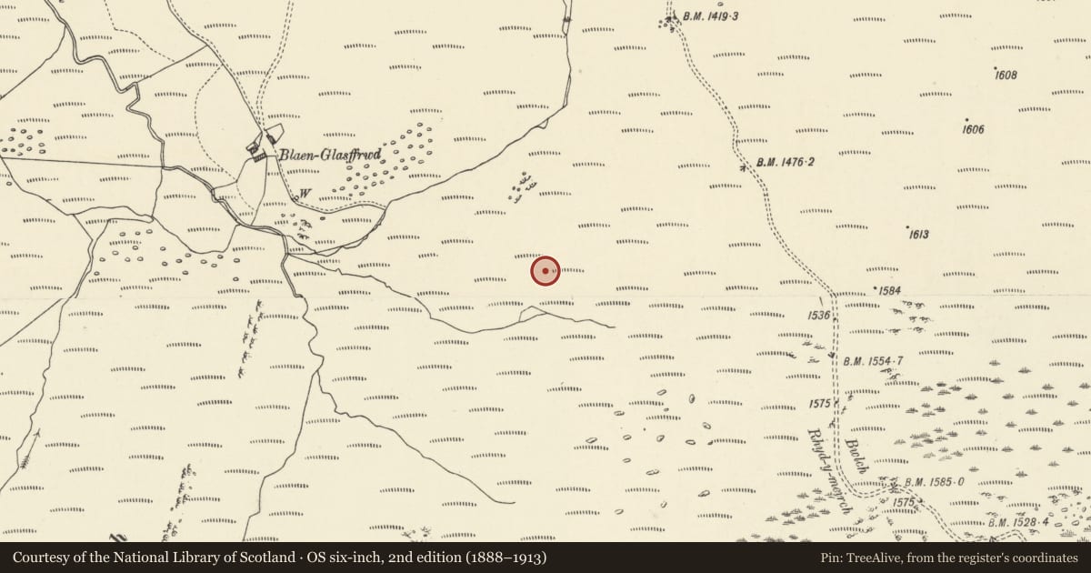Ordnance Survey six-inch map, 2nd edition (1888–1913) covering the location of Blaen Glasffrwd cairn cemetery, Ystrad Fflur, Ceredigion, with a pin at the register's coordinates