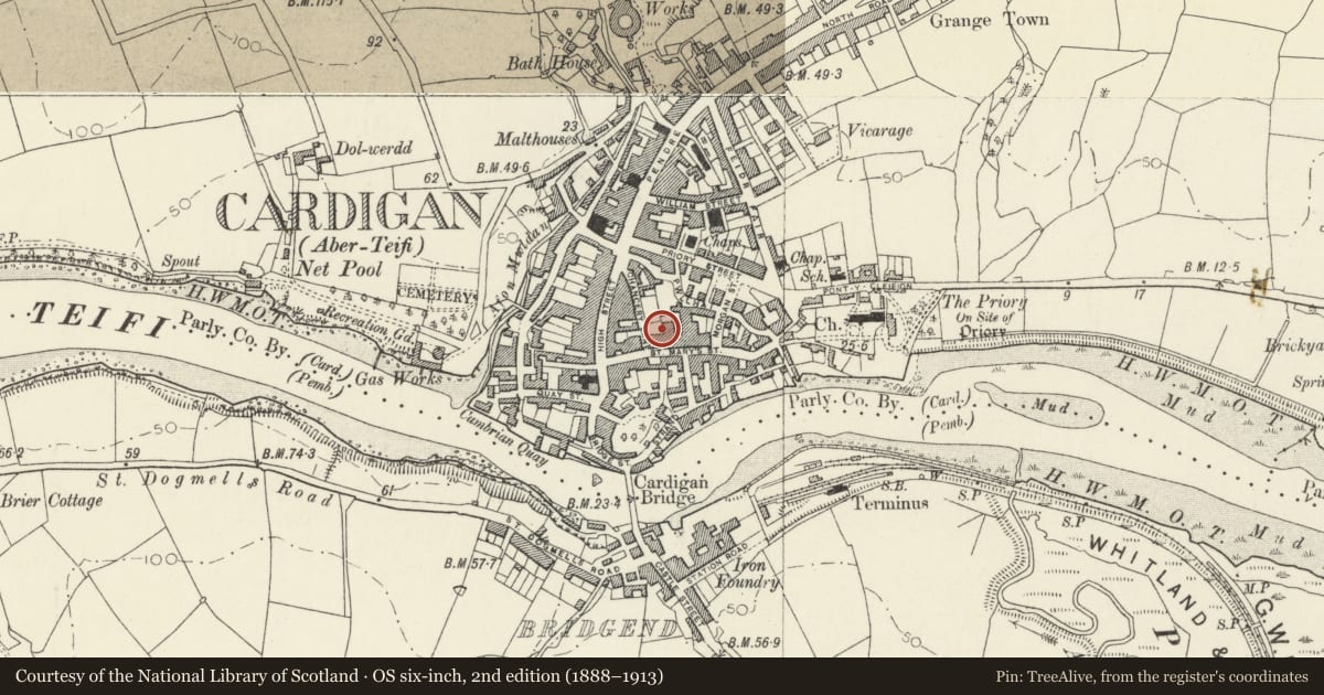 Ordnance Survey six-inch map, 2nd edition (1888–1913) covering the location of Cardigan Town Walls, Ceredigion, with a pin at the register's coordinates