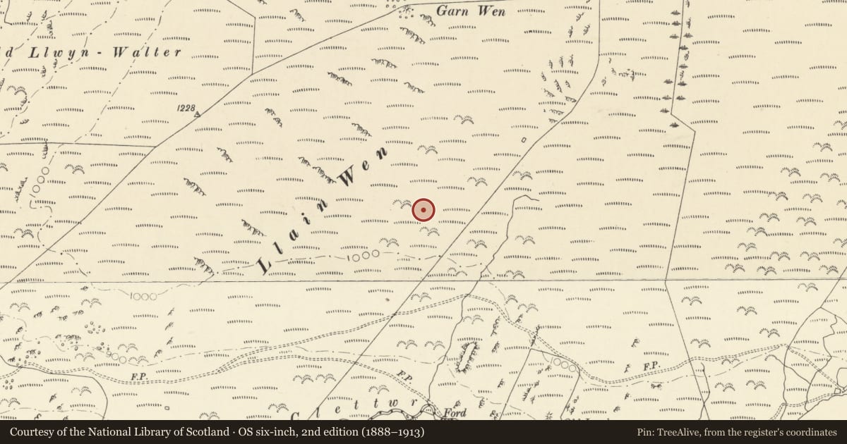 Ordnance Survey six-inch map, 2nd edition (1888–1913) covering the location of Llainwen Round Cairns, Llangynfelyn, Ceredigion, with a pin at the register's coordinates