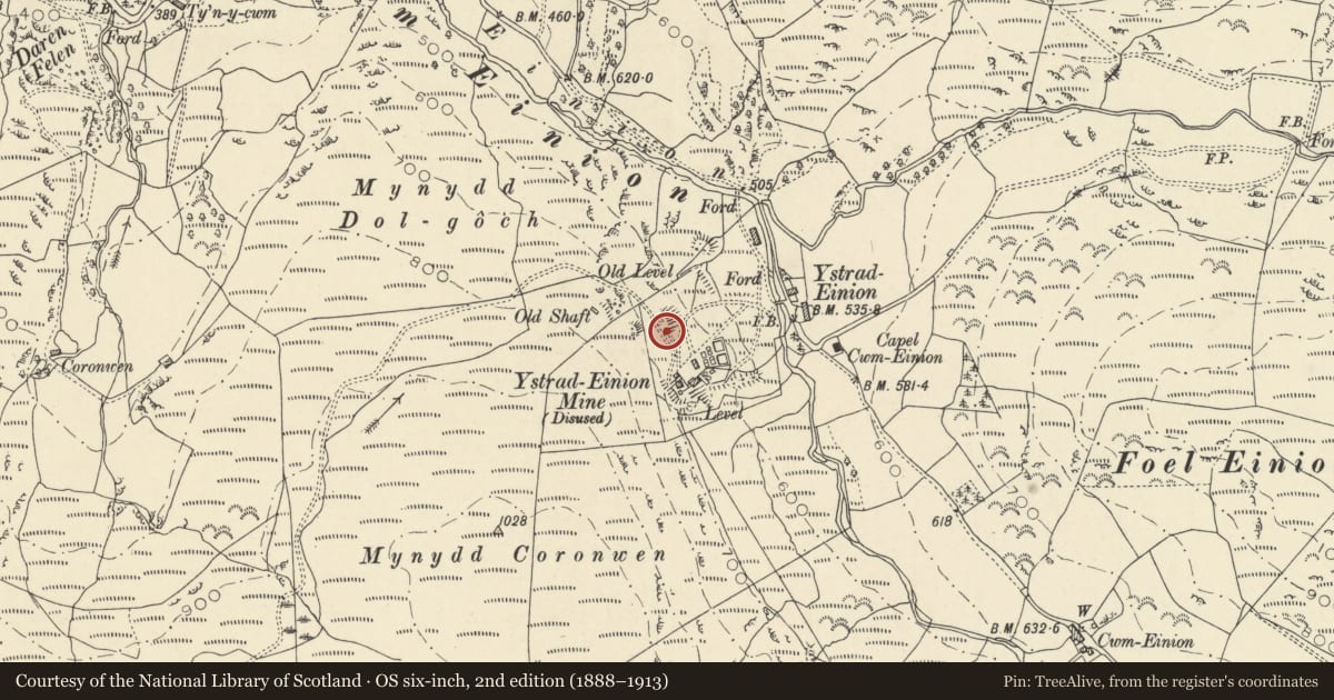 Ordnance Survey six-inch map, 2nd edition (1888–1913) covering the location of Ystrad Einion Lead Mine Buildings and Water Wheel, Ysgubor-y-Coed, Ceredigion, with a pin at the register's coordinates