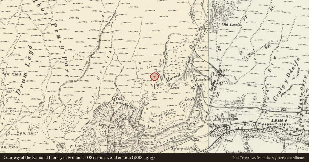 Ordnance Survey six-inch map, 2nd edition (1888–1913) covering the location of Copa Hill/Cwmystwyth Lead, Copper and Zinc Mines, Pontarfynach, Ceredigion, with a pin at the register's coordinates