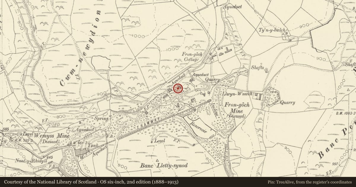 Ordnance Survey six-inch map, 2nd edition (1888–1913) covering the location of Fron Goch Lead Mine, Pontarfynach, Ceredigion, with a pin at the register's coordinates
