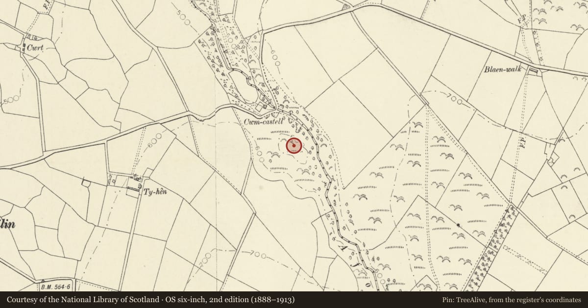 Ordnance Survey six-inch map, 2nd edition (1888–1913) covering the location of Cwm Castell Iron Age Settlement, Llanarth, Ceredigion, with a pin at the register's coordinates