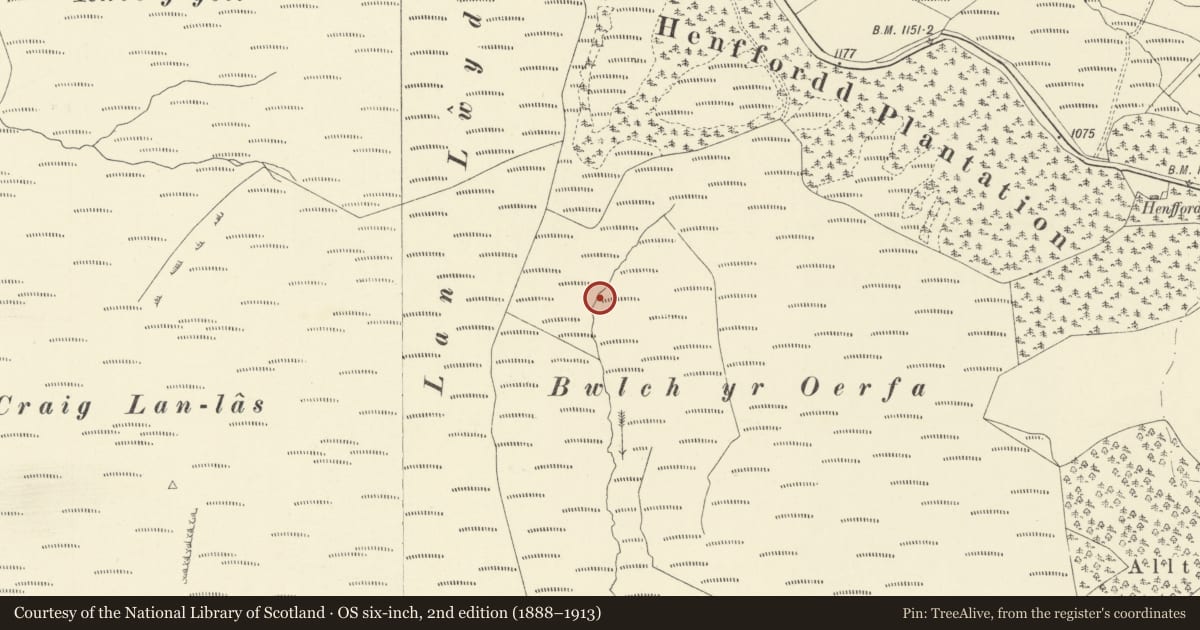 Ordnance Survey six-inch map, 2nd edition (1888–1913) covering the location of Bwlch-yr-Oerfa Settlement, Pontarfynach, Ceredigion, with a pin at the register's coordinates