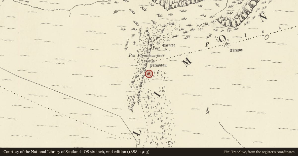 Ordnance Survey six-inch map, 2nd edition (1888–1913) covering the location of Southernmost Cairn on Pen Plynlimon-Fawr, Blaenrheidol, Ceredigion, with a pin at the register's coordinates