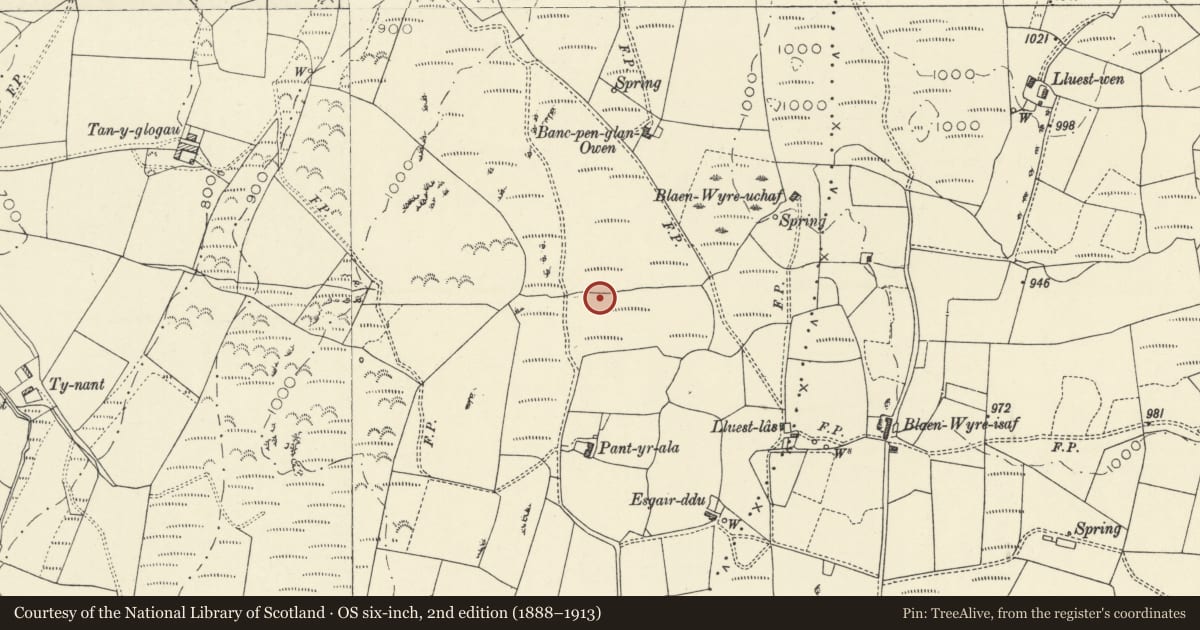 Ordnance Survey six-inch map, 2nd edition (1888–1913) covering the location of Enclosure on Banc Pwlldrainllwyn, Llangwyryfon, Ceredigion, with a pin at the register's coordinates