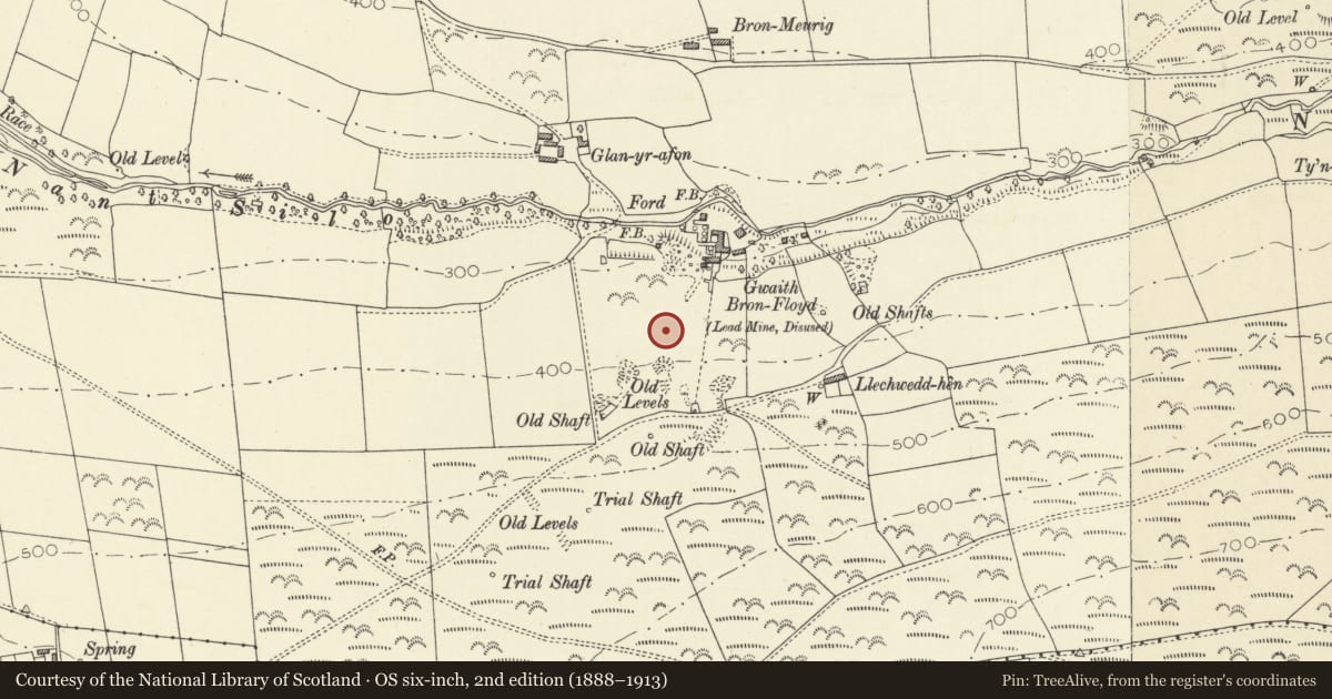 Ordnance Survey six-inch map, 2nd edition (1888–1913) covering the location of Bronfloyd Leadmine, Trefeurig, Ceredigion, with a pin at the register's coordinates