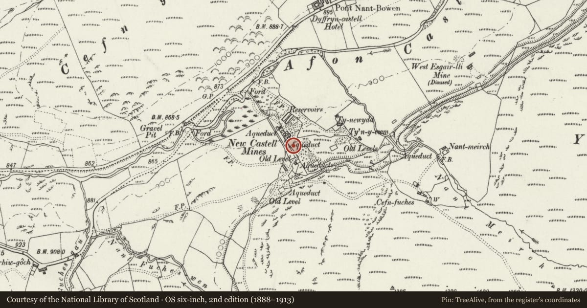 Ordnance Survey six-inch map, 2nd edition (1888–1913) covering the location of Castell Lead Mine, Blaenrheidol, Ceredigion, with a pin at the register's coordinates