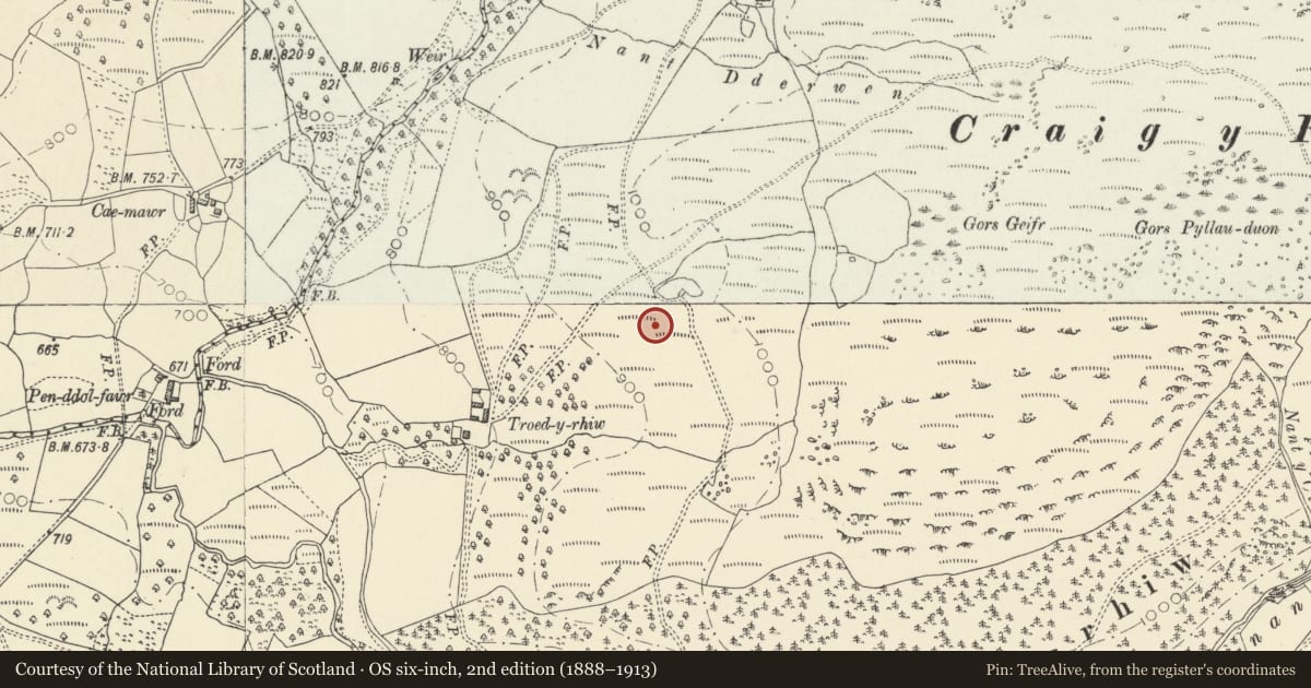 Ordnance Survey six-inch map, 2nd edition (1888–1913) covering the location of Abandoned Settlement 300m NE of Troed-y-Rhiw, Ystrad Fflur, Ceredigion, with a pin at the register's coordinates