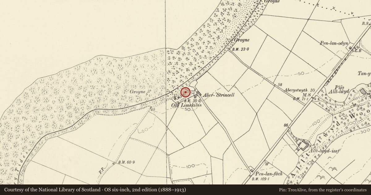 Ordnance Survey six-inch map, 2nd edition (1888–1913) covering the location of Aberstrincell or Graiglas Limekilns, Llansantffraid, Ceredigion, with a pin at the register's coordinates