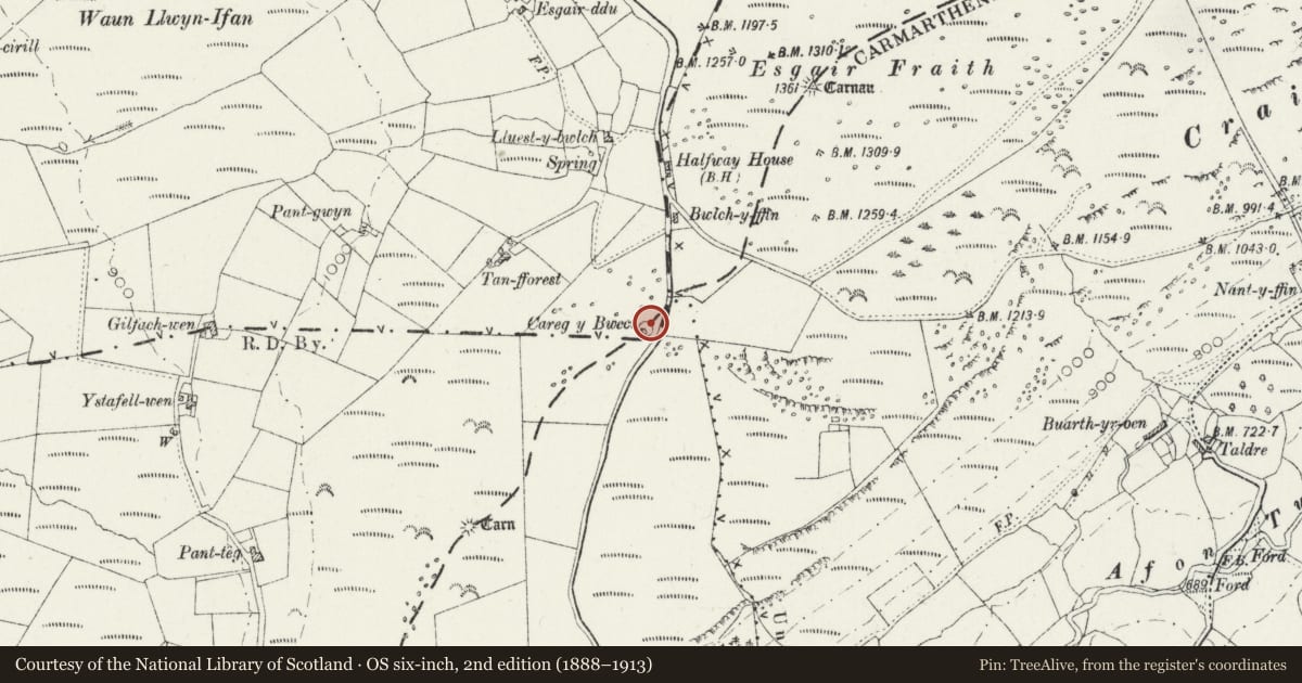 Ordnance Survey six-inch map, 2nd edition (1888–1913) covering the location of Careg-y-Bwci, Llanfair Clydogau, Ceredigion, with a pin at the register's coordinates